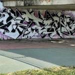 Immagine: 1.2, Parco di Melta - Gardolo_CallMuriLiberi