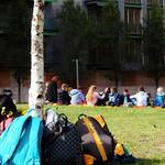 Immagine: 1726658175231 (1)