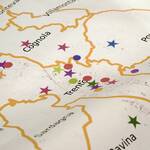 Immagine: 1733519782365