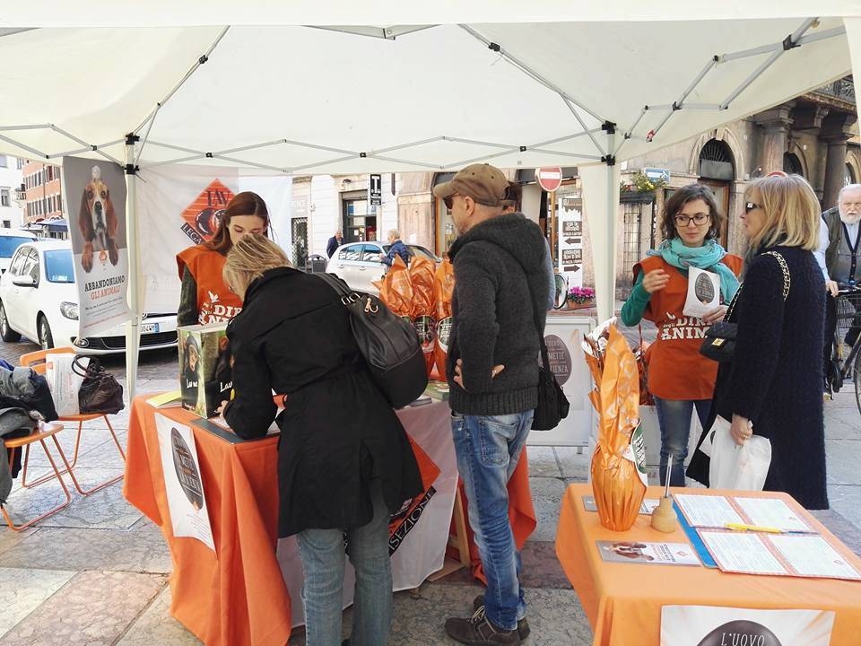 Immagine: 18685278_1197050510406289_157835552_n