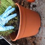 Immagine: 20240514_101731