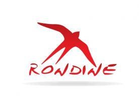 Immagine: 99767462c003f6210702a01fab2d1b10-Logo-Rondine-OK