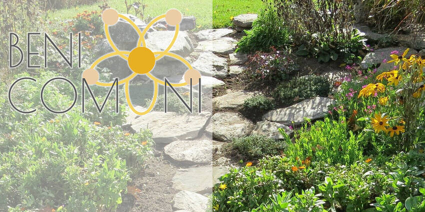 Immagine: Adotta-un-aiuola_imagefull - Francesca Debiasi