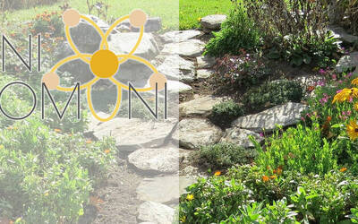 Immagine: Adotta-un-aiuola_imagefull - Francesca Debiasi