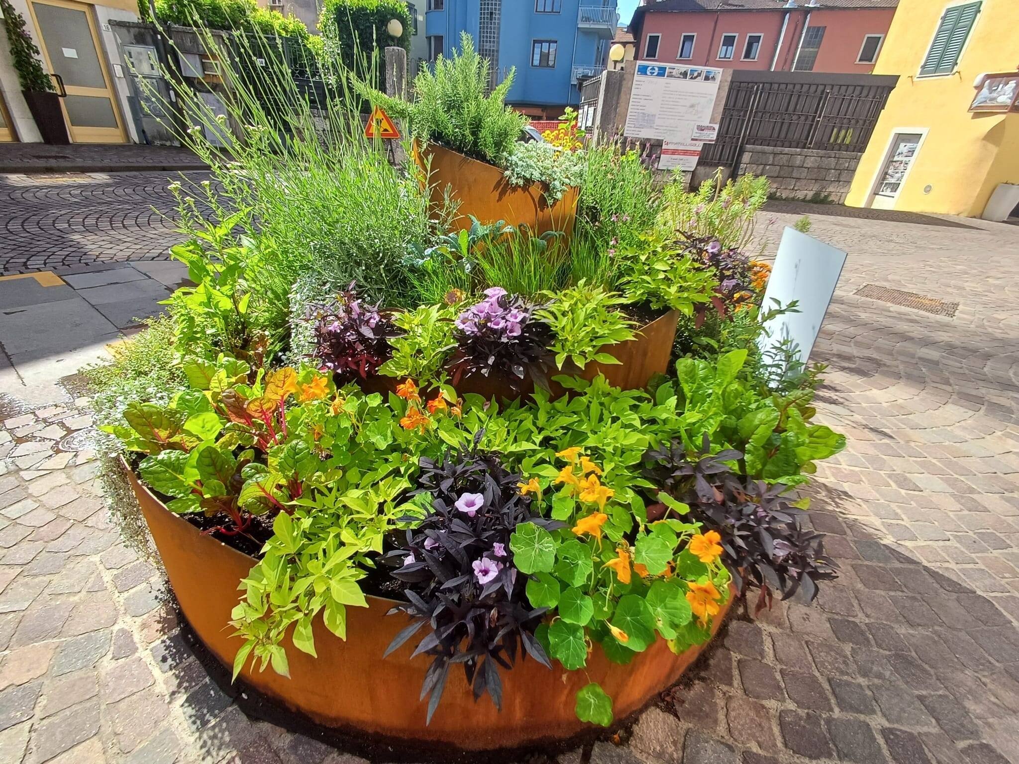 Immagine: aiuola_prototipo_1