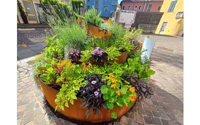 Immagine: aiuola_prototipo_1