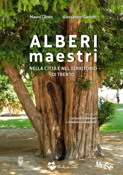 Immagine: alberi maestri 2
