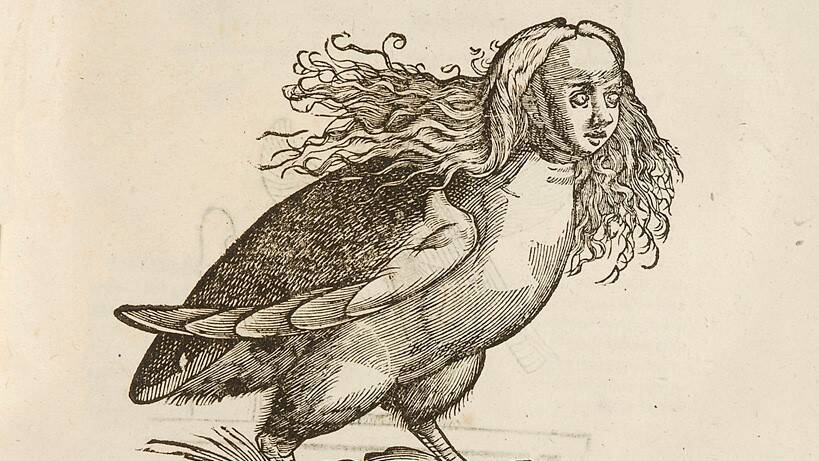 disegno antico di un animale mitologico con il corpo di uccello e la testa di donna