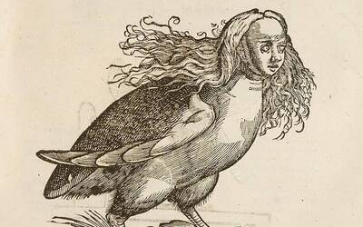 disegno antico di un animale mitologico con il corpo di uccello e la testa di donna