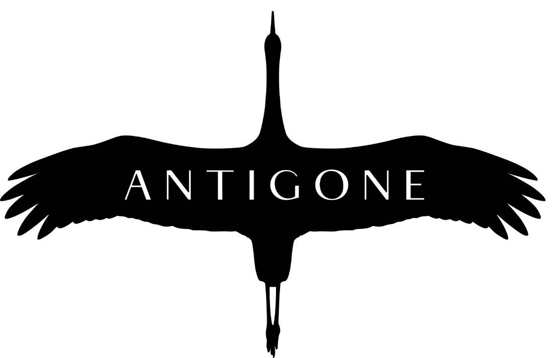 Immagine: Antigone