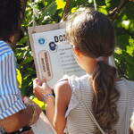 Immagine: APS_ecoorienteering3