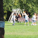 Immagine: APS_ecoorienteering4