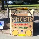 Immagine: APS_piedibus4