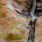 Immagine: Artigianelli_ML_1192