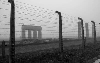 Immagine: auschwitz