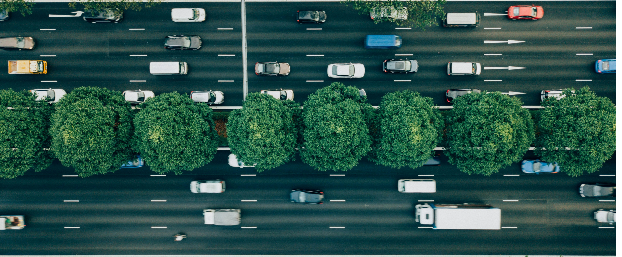 un'immagine dall'alto di una strada trafficata e, tra le due corsie, una fila di alberi