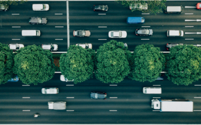 un'immagine dall'alto di una strada trafficata e, tra le due corsie, una fila di alberi