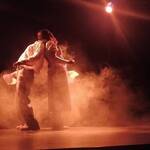 Immagine: bestiario umano