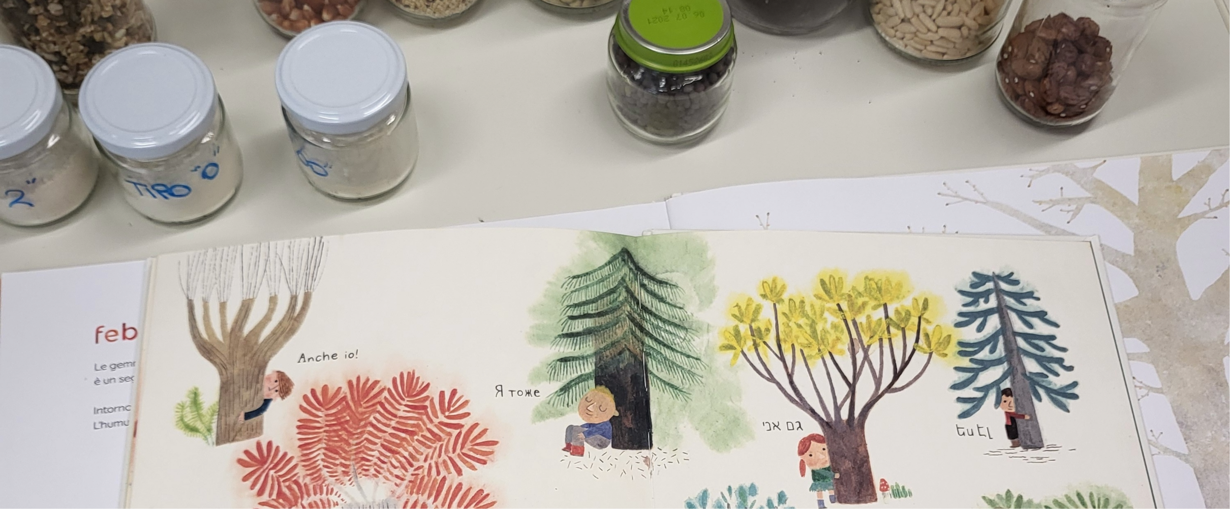 disegni di alberi e vasetti di semi