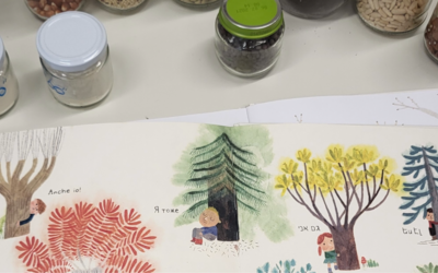 disegni di alberi e vasetti di semi