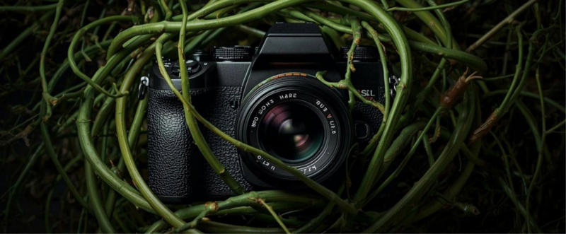 Spazi, oltre la camera chiara | una call per fotografə contemporaneə Spazi, oltre la camera chiara | una call per fotografə contemporaneə