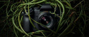 Spazi, oltre la camera chiara | una call per fotografə contemporaneə