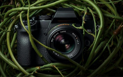 una macchina fotografica nera intrappolata da rami verdi