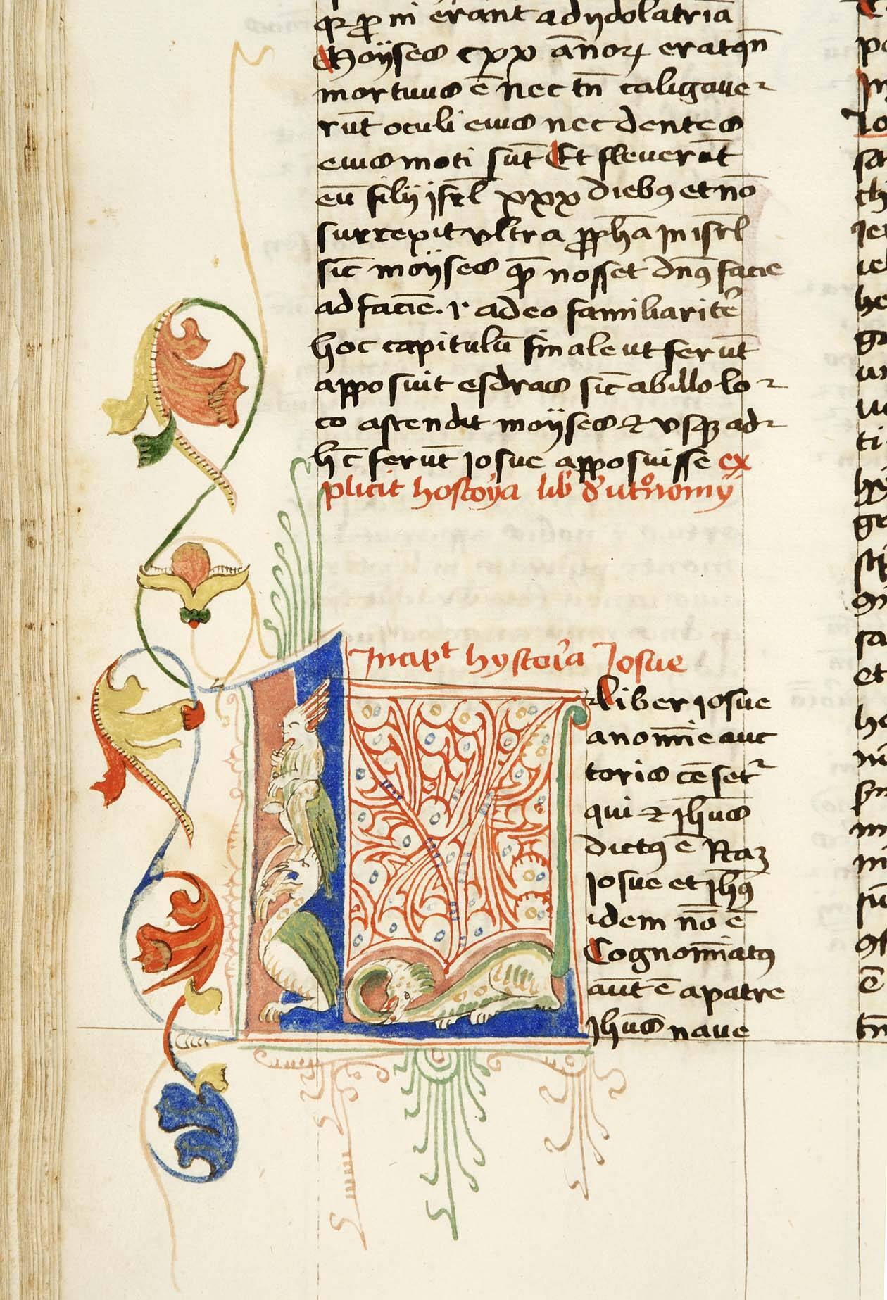 Immagine: capoletteraF b 51 c 88v - Milena Bassoli