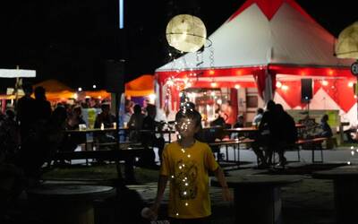 Immagine: COPERTINE schiacciatine 2425 (36)