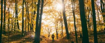 Immagine: COPERTINE schiacciatine 2425 (6)