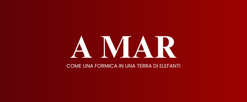 Immagine: COPERTINE schiacciatine 2425 (9)