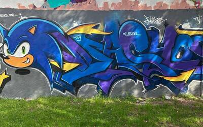 Immagine: COPERTINE schiacciatine (4)