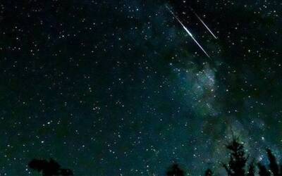 Immagine: COPERTINE schiacciatine (9)