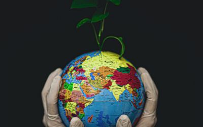 Immagine: Copertine sito (2)