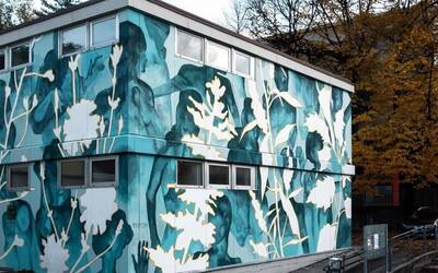 Foto del Centro Teatro Olmi 24