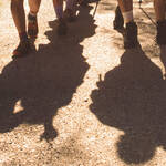 Immagine: Echo roots2