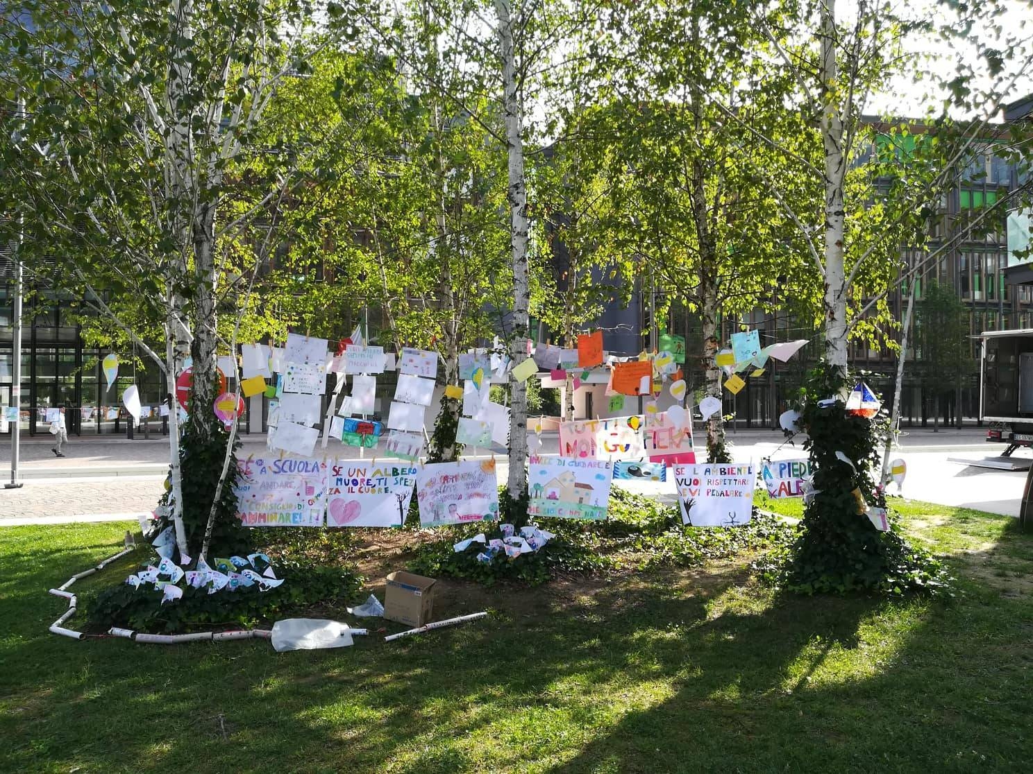 Immagine: Eco-Orienteering 2018