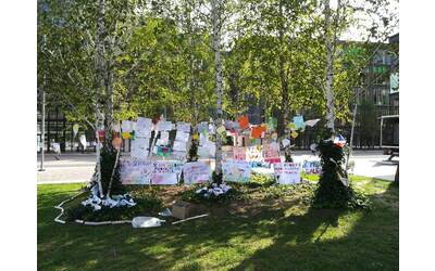 Immagine: Eco-Orienteering 2018