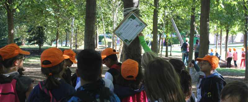 gruppo di bambini con un cappellino arancione mentre leggono un cartellone appeso a un albero in un parco su cui è scritta una domanda sull'ecologia