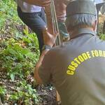 Immagine: festa degli alberi 1