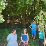 Immagine: festa degli alberi 3