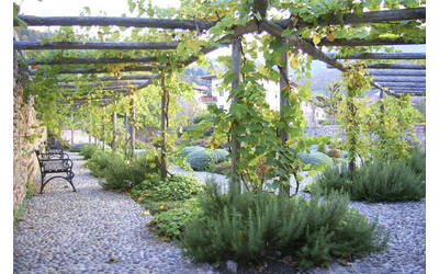 Immagine: Giardino Baselga del Bondone Pieve