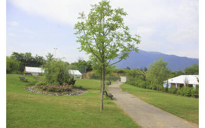 Immagine: Giardino-Martignano