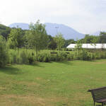 Immagine: Giardino-Martignano