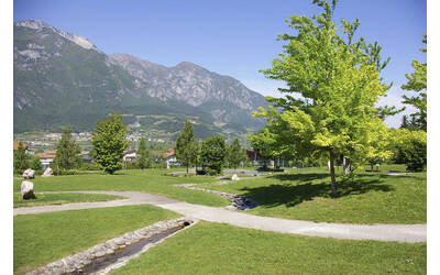 Immagine: Giardino-Mattarello