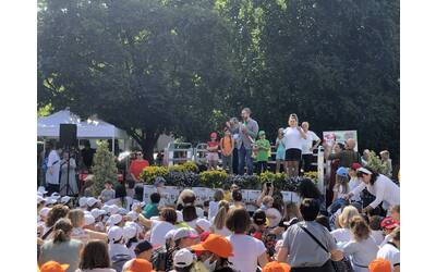 Immagine: giornata della pace 3