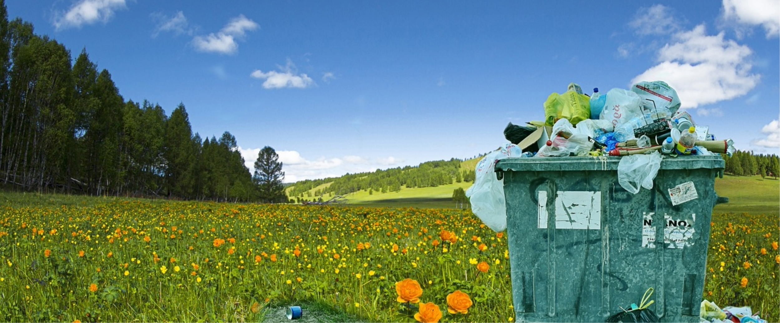 Immagine: Giornata mondiale del riciclo