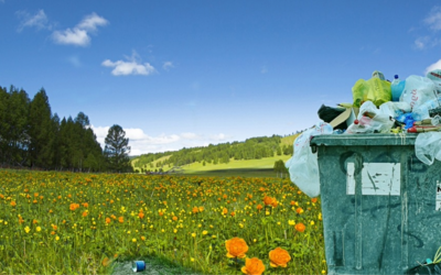 Immagine: Giornata mondiale del riciclo