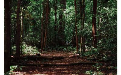 Immagine: imat-bagja-gumilar-jwTvCQQJXh0-unsplash