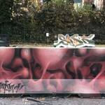 Immagine: IMG_0389